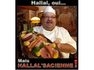 un peu de tout